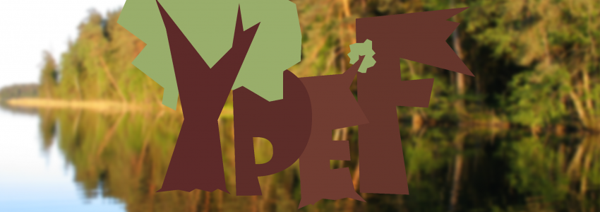 YPEF IX edition announced!